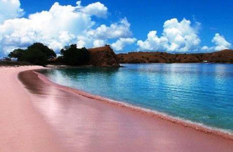 Pesona Keindahan Pantai Pink Lombok