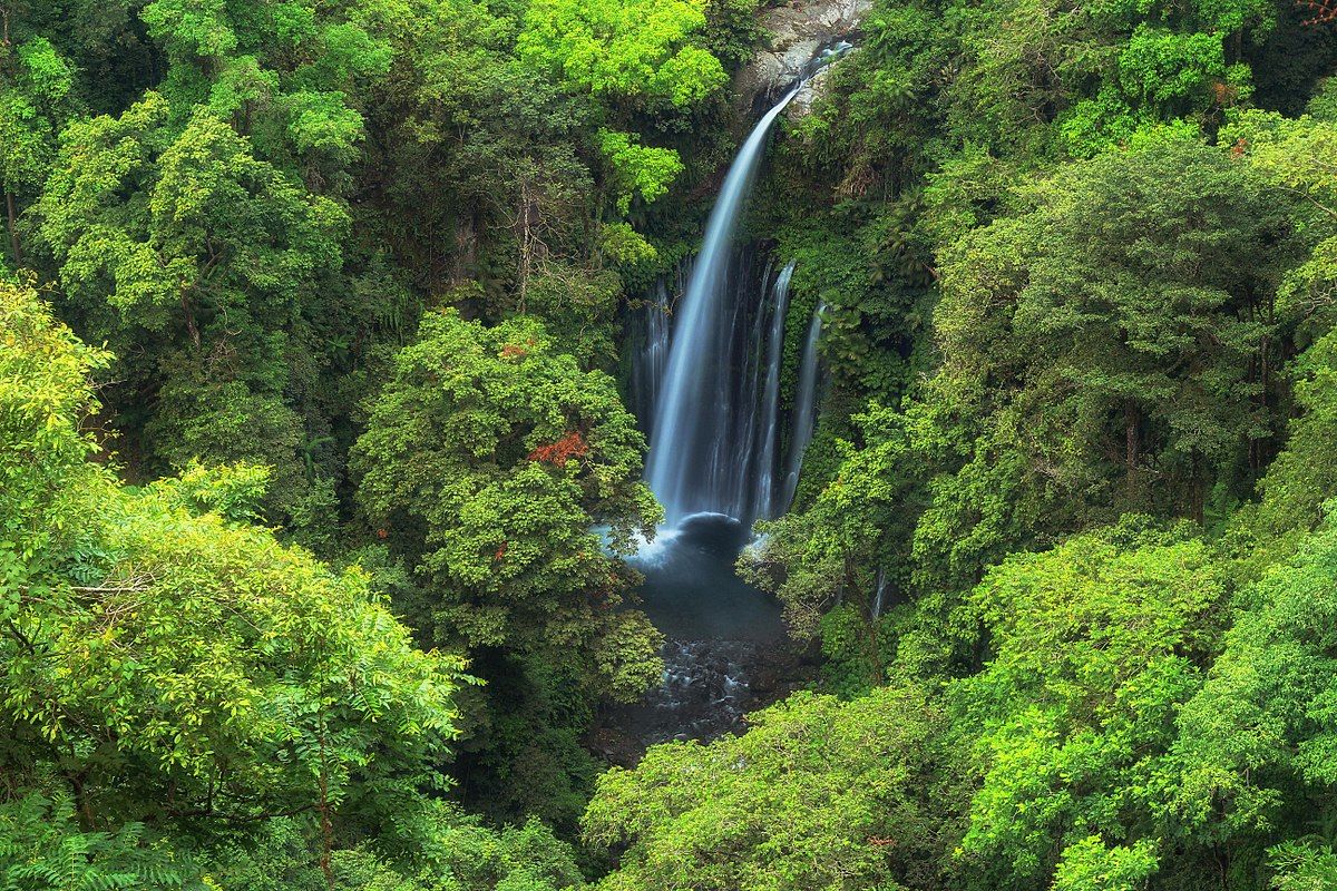 Eksotisnya Air Terjun Tiu Kelep di Kaki Gunung Rinjani