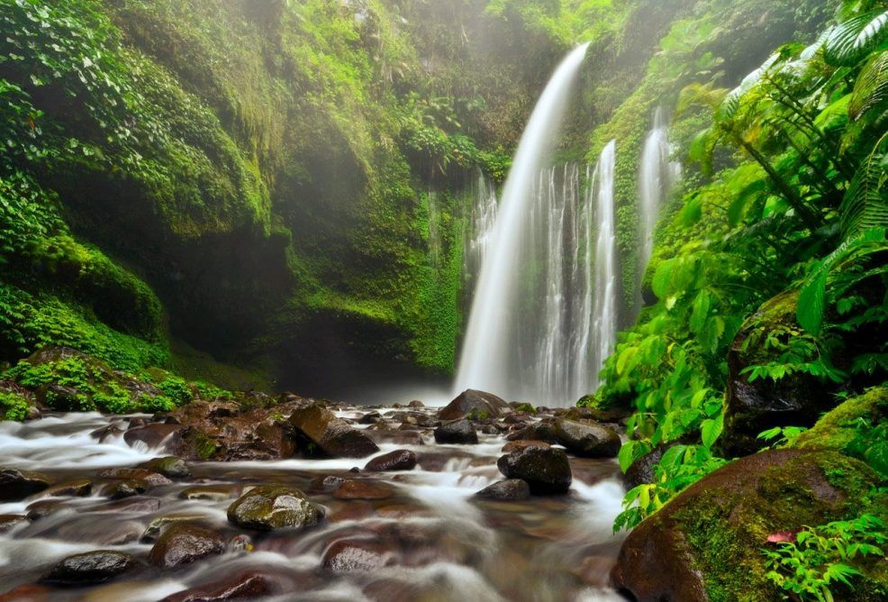 Lombok Traditional Culinary & Jungle Trekking Experience